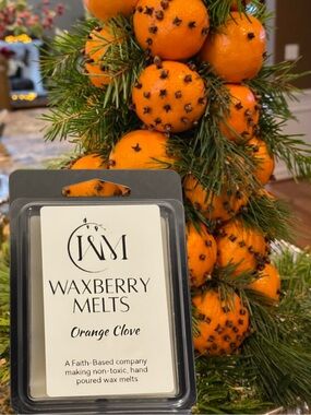Handcrafted Limited Edition Orange Clove Scented Wax Melts
